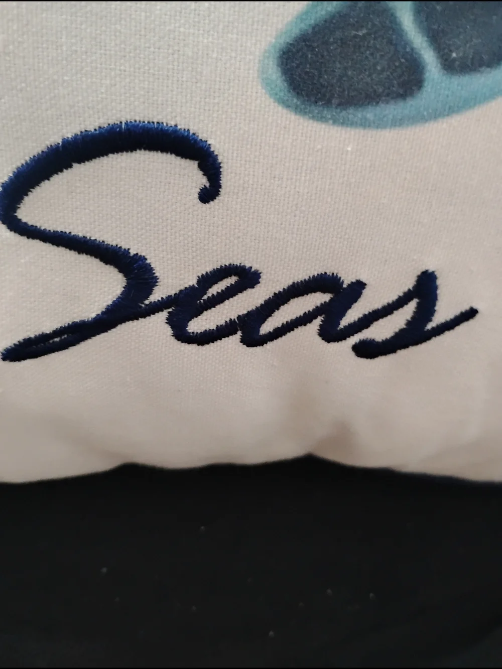 Coastal Turtle & Whale Throw Pillow Pair -Blue & White Embroidered Text. 16x16